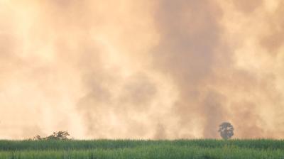 Dense smoke billows into the sky above a field with sparse vegetation.