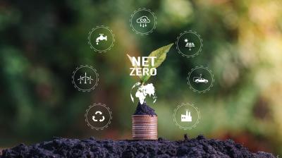 Plant growing from stack of coins with "Net Zero" text, surrounded by icons representing sustainable practices like wind energy, recycling, and electric vehicles against a blurred natural background.